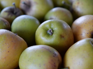 Frisch geerntete kleine grüne Äpfel