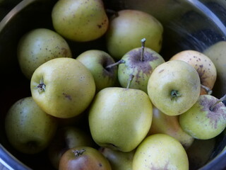 Frisch geerntete kleine grüne Äpfel