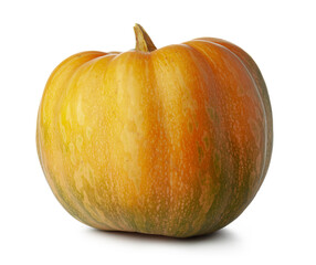Studio shot of a pumpkin isolated on white background
