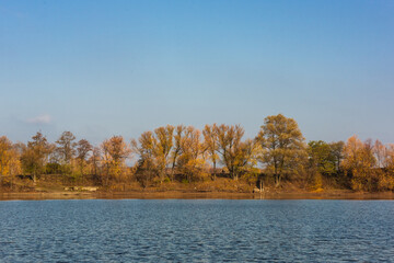 autumn trees on the lake