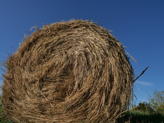  roll of hay in summer scenery