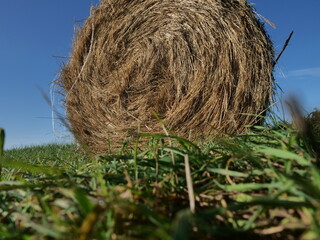  roll of hay in summer scenery