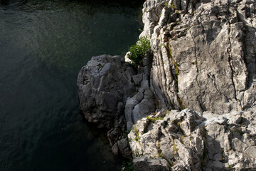 Rock in the water