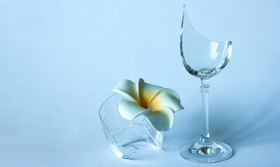 Broken glass flower and shards on light gray background, selective focus