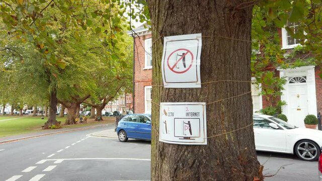 Sign on a tree from a British neighbourhood, that prohibits urinate in public