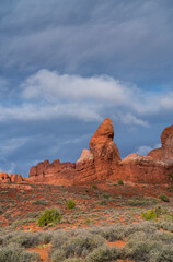 Rock Pinnacles, Arches National Park, Grand County, Utah, Usa, America