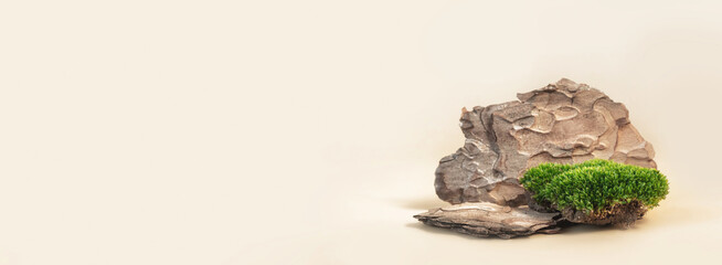 Composition of bark tree and moss on pastel background. Abstract podium for organic cosmetic products. Natural stand for presentation and exhibitions.