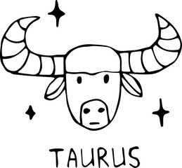 Vector illustration of the zodiac sign bull in the power of Doodle, black outline on an isolated white background. The concept of astrology, mysticism, divination, horoscopes. Can be used for books