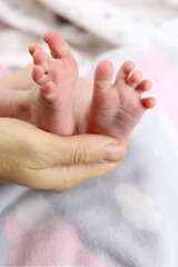 Obraz na płótnie Canvas infant, Newborn baby's feet in mother's hand, vertical