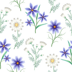 Seamless pattern with watercolor meadow flowers. Background of wild plants on white. Botanical backdrop for packaging, label, logo design.
