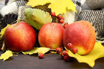 Naklejka na ściany i meble Autumn composition of yellow leaves and apples on wooden background
