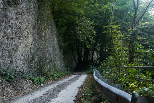 section of a road with an anti-rockfall net on a rock ledge in a mountain forest