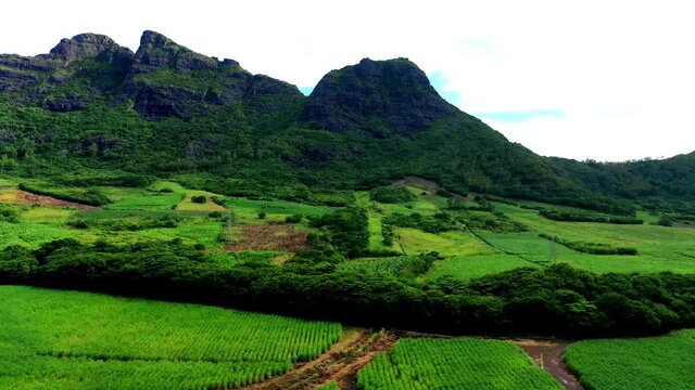 Aerial view, flight at the Mont du Rempart mountain, corps de grande,.Mont saint Pierre region Black River, behind the places Vacoas-Phoenix and Quatre Bornes, Mauritius, Africa