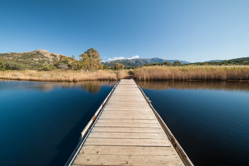 Fototapeta premium Wooden bridge at Ostriconi in Corsica