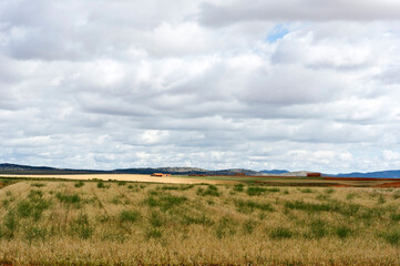 Open landscape, near Montreal Del Campo,  province of Teruel, Aragon, Spain