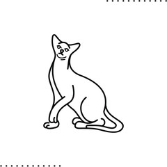 Playful Siamese cat vector icon in outlines