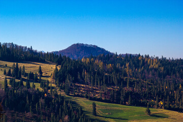 Wysoka Peak in Pieniny Mountains in autumn. View from Rozdziela Pass.