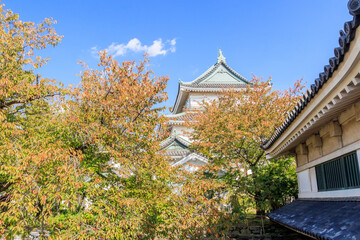 和歌山城　和歌山県和歌山市　Wakayama 
castle Wakayama-ken Wakayama city