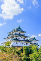 Fototapeta na wymiar 和歌山城　和歌山県和歌山市　Wakayama castle Wakayama-ken Wakayama city