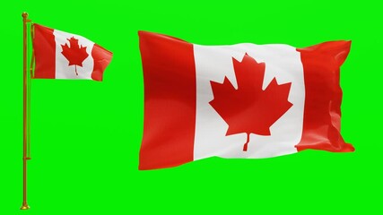 Flags of Canada with Green Screen Chroma Key High Quality 4K UHD 60FPS
