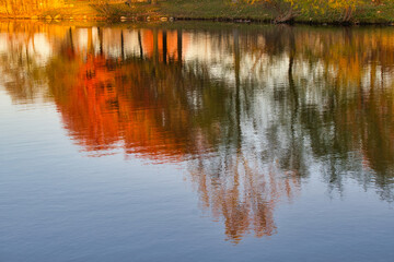 reflections in the water