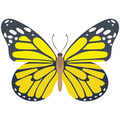 
Flat icon design of a butterfly
