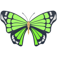 
Flat icon design of a butterfly
