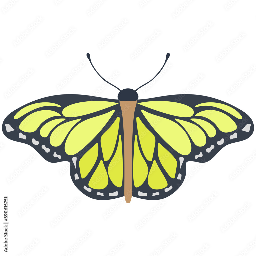 Poster a colored butterfly flat icon image