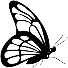 
Brown colored Swallowtail butterfly solid icon image
