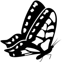 
Brown colored Swallowtail butterfly solid icon image
