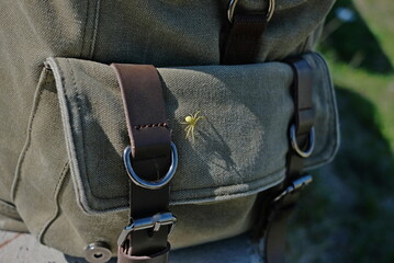 little green spider crawling on a cotton backpack