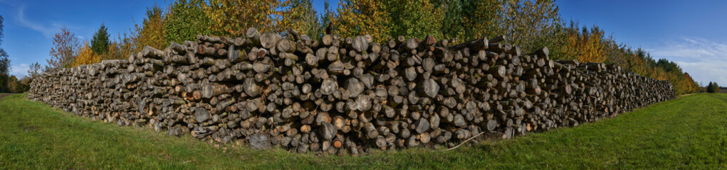 Wood Stacks