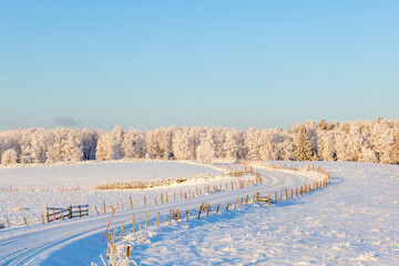 Winter Landscape with road curves