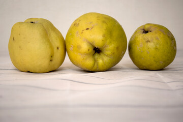 organic ripe quinces on tablecloth