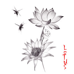 Lotus flowers watercolor ink with dragonflies