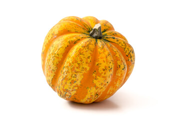 Kürbis, Sorte Carnival