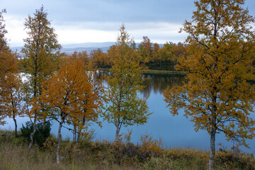Autumn in Norway