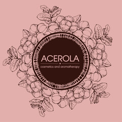 Frame with branch acerola cherry, fruit, flower . Detailed hand-drawn sketches, vector botanical illustration.