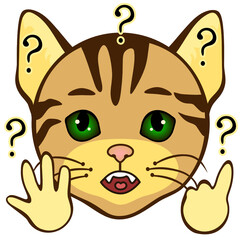 emoji with a cat who, with his whole appearance, shows that he cannot count, emoticon on a white isolated background with question marks