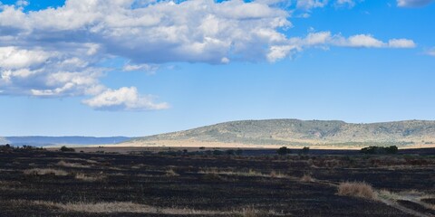 Kenya: landscape of maasai mara park