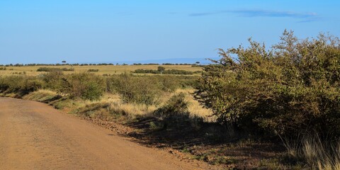 Kenya: landscape of maasai mara park