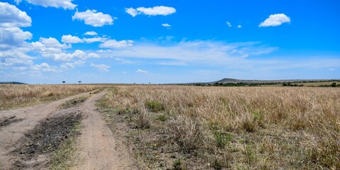 Fototapeta premium Kenya: landscape of maasai mara park