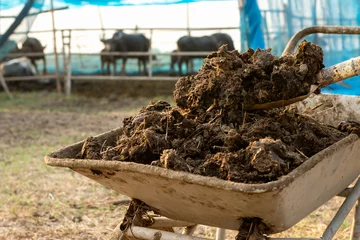 Deurstickers Manure or cow manure for cultivation and agriculture. © 994yellow