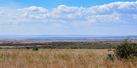 Kenya: landscape of maasai mara park