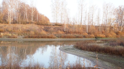 Autumn landscape lake surrounded by trees with fallen yellow foliage