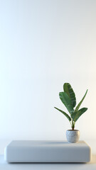 Tropical plant banana leaf in a vase on podium in a white empty minimalist room vertical 3d render 