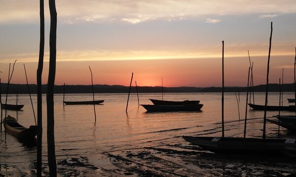 「Lindo」の画像 11,347 件の Stock 写真、ベクターおよびビデオ Adobe Stock
