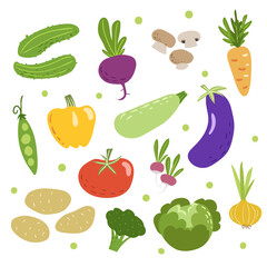 Doodle vegetables set. Cucumbers, beet, mushrooms, carrot, green pea, pepper, zucchini, eggplant, tomato, radish, potatoes, broccoli, cabbage and onion. Sketchy veggies collection. Vector  drawings.
