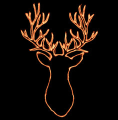 Modern Reindeer head art illustration

