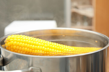 Pot with boiling corn cobs in kitchen, closeup